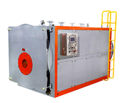 低氮燃?xì)忮仩t